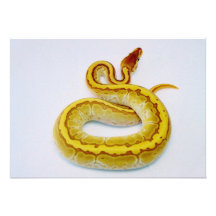 Letter "S" Yellow Ball Python Custom Invitations