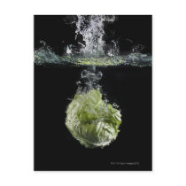 Lettuce splashing in water post card