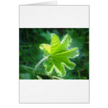 Leuchtendes Blatt mit Wassertropfen Grußkarten