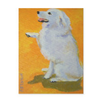 Levine’s Bailey Postcards