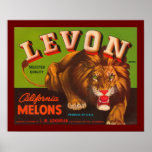Levon California Melons Print