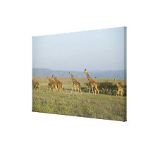Lewa Wildlife Conservancy, Kenya Canvas Print