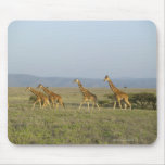 Lewa Wildlife Conservancy, Kenya Mouse Mats