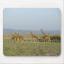 Lewa Wildlife Conservancy, Kenya Mouse Mats