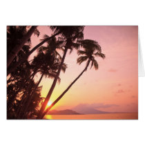 Lewolin Village, Illi Api Island, Selat Boleng Greeting Card