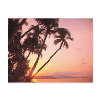 Lewolin Village, Illi Api Island, Selat Boleng Post Cards