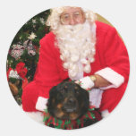 Lexi - Rottweiler Mix - Anselmi Stickers