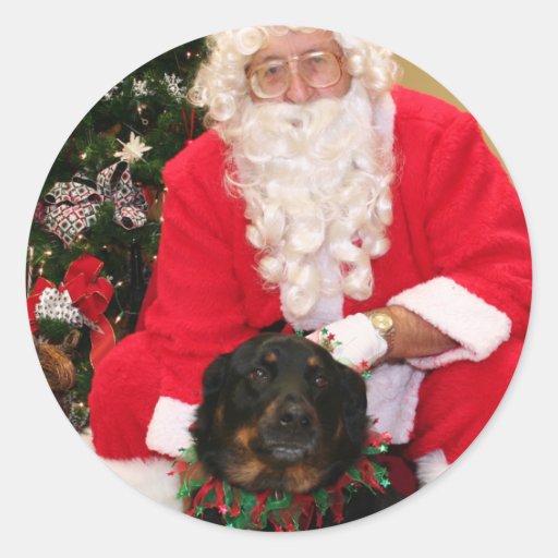 Lexi - Rottweiler Mix - Anselmi Stickers