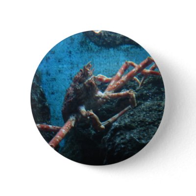 lg. saltwater crab button by rescueadog