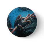 lg. saltwater crab button