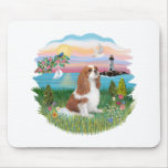 Lghthouse - Cavalier (BL-F) Usepads
