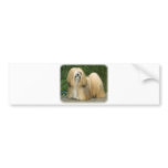Lhasa Apso bumper stickers