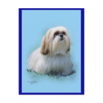 Lhasa Apso Postcard