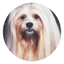 Lhasa Apso Sticker