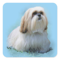 Lhasa Apso