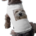 Lhasa Apso Tank Top pet clothing