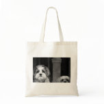 Lhaso Apso x Yorkie and a Poodle x Shitzu Canvas Bags