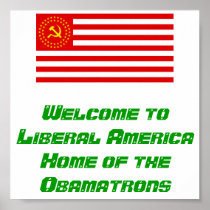 Liberal America Poster