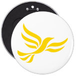 Liberal Democrats Logo Pin