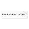 liberals think you are stupid. bumper stickers
