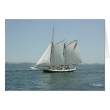 Liberty Clipper Photo-Blank Card