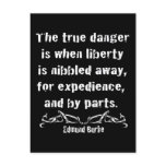 Liberty is Nibbled Away Post Card