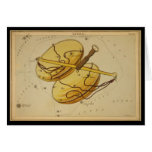 Libra cards