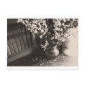 library parts, sepia postcards