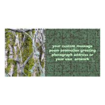 Lichen, Bark, and Branches Photo Card Template