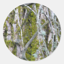 Lichen, Bark, and Branches Round Stickers