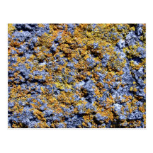 Lichen covered rock postcard
