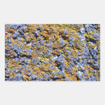 Lichen covered rock rectangular stickers