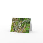 Lichen Garden Twig OBX Note Card