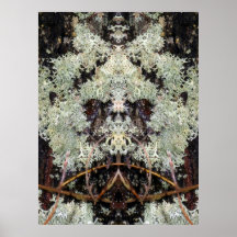Lichen Pug Poster