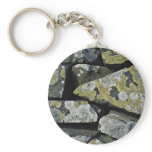 Lichens on wall keychains