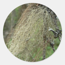 Lichens Stickers