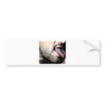 Lick bumper stickers