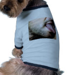 Lick pet clothing