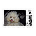 lick postage