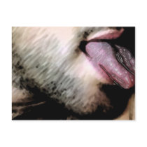 Lick Postcards