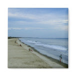 Life Along The Beach magnets