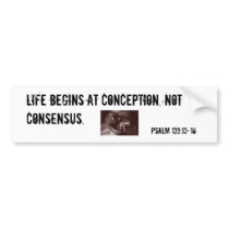Life begins at conception. bumper stickers