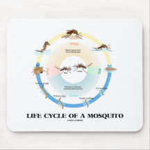 Life Cycle Of A Mosquito (Egg Larva Pupa Imago) Mouse Pads