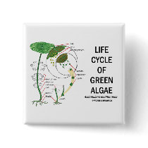 Life Cycle Of Green Algae Pinback Buttons