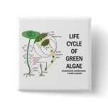 Life Cycle Of Green Algae buttons