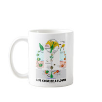 Life Cyle Of A Flower (Angiosperm) Coffee Mugs