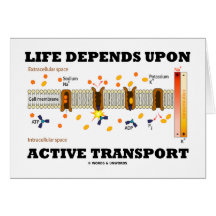 Life Depends Upon Active Transport (Na-K Pump) Cards