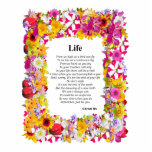 Life Flower Frame photo sculptures