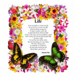 Life - Flower Garden 8X10 photo sculptures