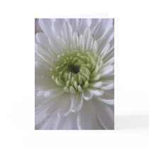 Life in Bloom (2) Greeting Cards